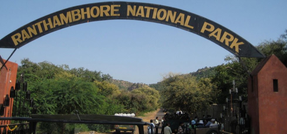 Ranthambhore National Park, Rajasthan, India